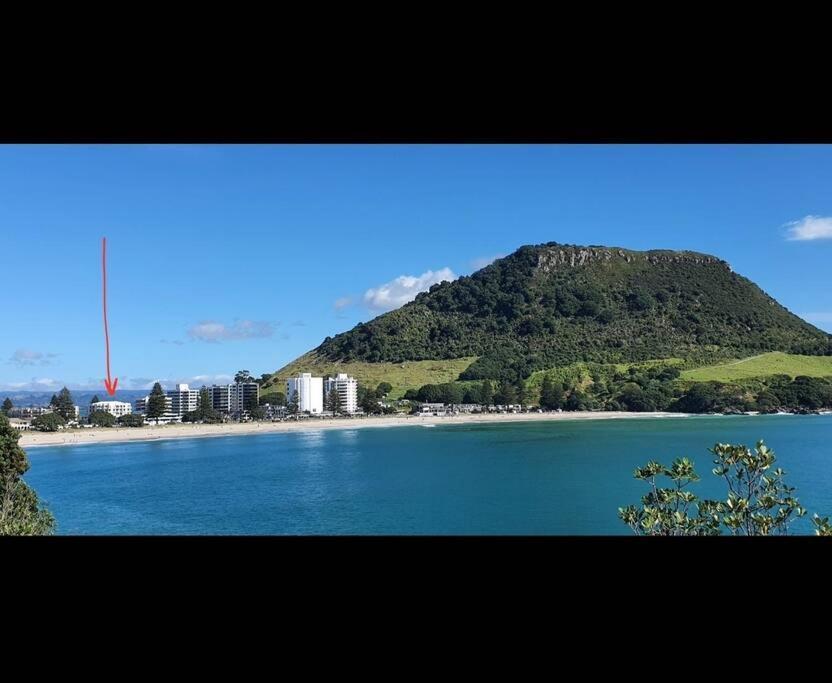 Fabulous Apartment In The Atrium, Mt Maunganui ماوْنت مونغانيو المظهر الخارجي الصورة